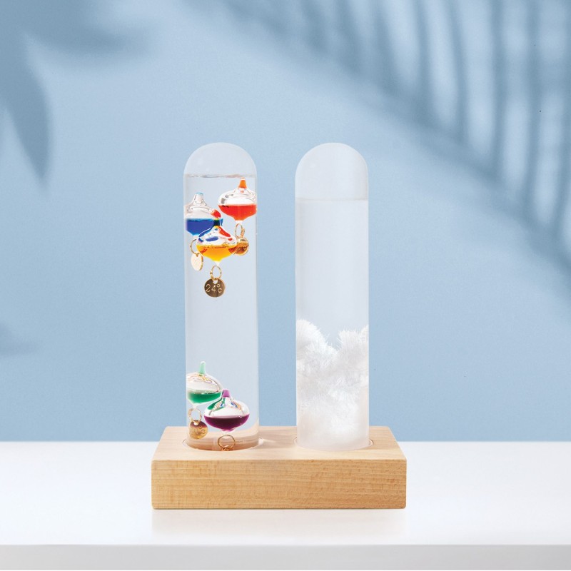 Dual Weather Station - Galileo Thermometer and Storm Glass Set - 1