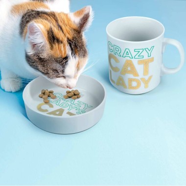 Crazy Cat Lady Ceramic Mug and Pet Bowl Set - 2