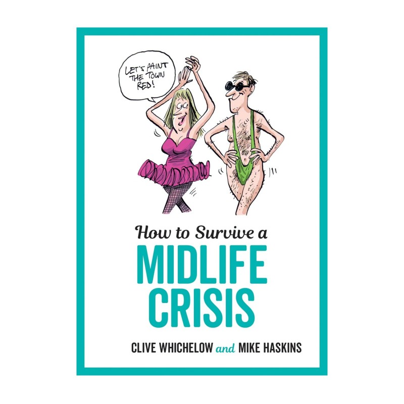 Midlife crisis прохождение