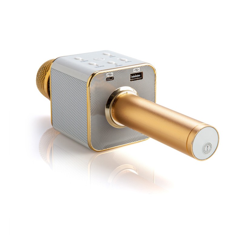 Portable Karaoke Microphone - 4