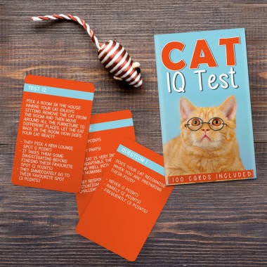 100 Cat IQ Test - 2