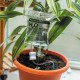 Plant Life Support by Bubblegum Stuff - 2