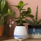 Plant Pot Speaker - 3
