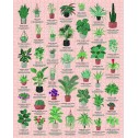 House Plants Lovers 1000pc Jigsaw Puzzle by Ridleys - 2
