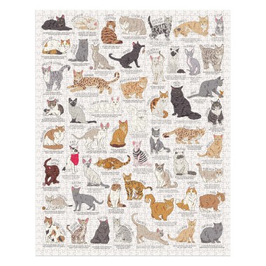 Cat Lovers 1000pc Jigsaw Puzzle by Ridleys - 2