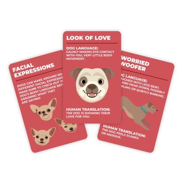 How to Speak Dog Tips Cards - 3