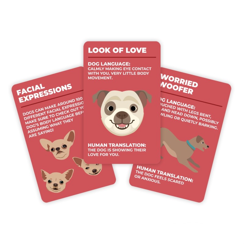 How to Speak Dog Tips Cards - 3