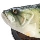 Billy Bass Singing Fish Wall Mount Plaque
