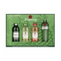 Tanqueray Gin Tasting Miniatures Gift Pack 4 x 50ml - 2
