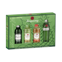 Tanqueray Gin Tasting Miniatures Gift Pack 4 x 50ml - 1