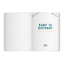 Bump to Birthday Pregnancy & First Year Journal - 3