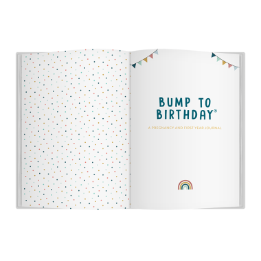 Bump to Birthday Pregnancy & First Year Journal - 3