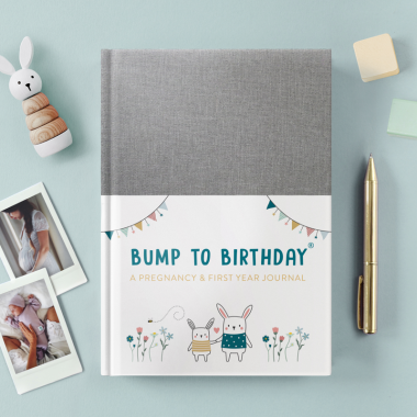 Bump to Birthday Pregnancy & First Year Journal - 1