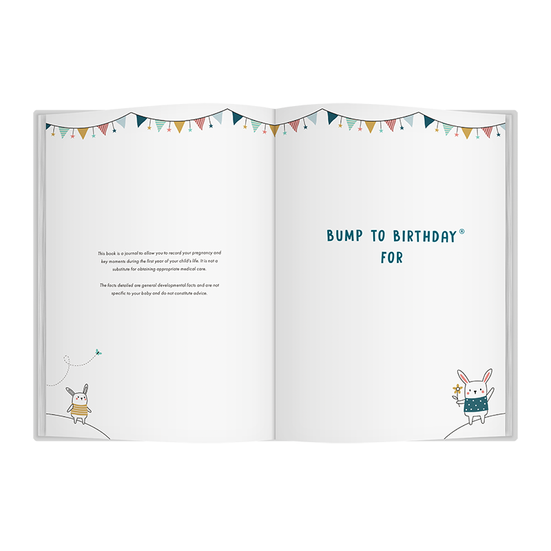 Bump to Birthday Pregnancy & First Year Journal - 4