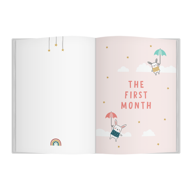 Bump to Birthday Pregnancy & First Year Journal - 8