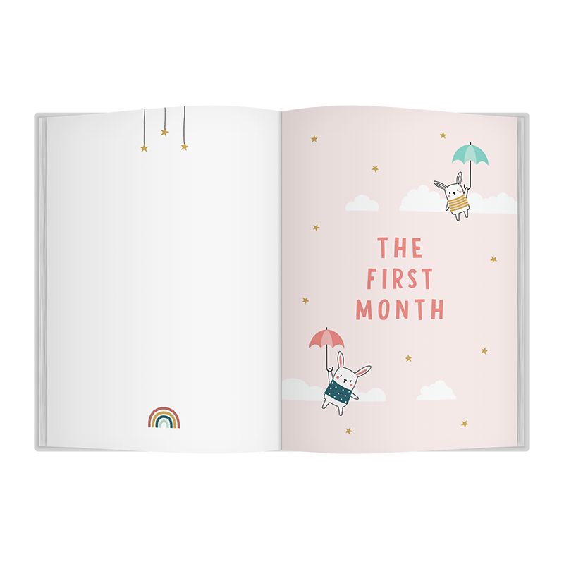Bump to Birthday Pregnancy & First Year Journal