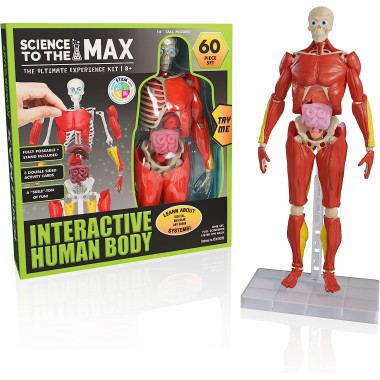 Science To The Max - Interactive Human Body - 1