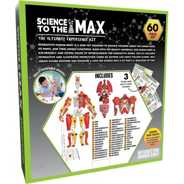 Science To The Max - Interactive Human Body - 8