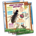 Bug Playground - Insect Inspector Lab - 5