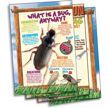 Bug Playground - Insect Inspector Lab - 5