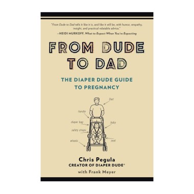 From Dude to Dad The Diaper Dude Guide to Pregnancy - 1