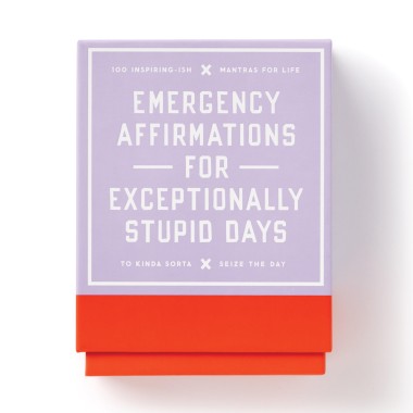 Emergency Affirmations For Exceptionally Stupid Days - 2