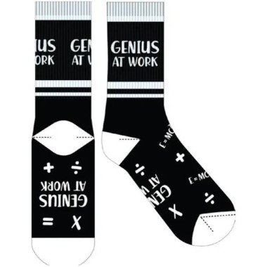 Genius At Work Novelty Socks - 1