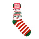 Proud Member of the Naughty List Socks - 1