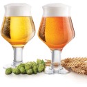 Craft Beer Glasses Set of 2 by Final Touch - 2