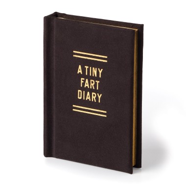 A Tiny Fart Diary - 2 A Tiny Fart Diary - 2