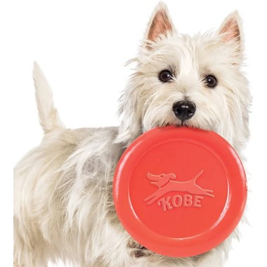 Bacon Scented Frisbee by Kikkerland Kobe - 4 Bacon Scented Frisbee by Kikkerland Kobe - 4