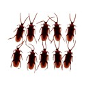 Box Of Cockroaches Prank Set - 5