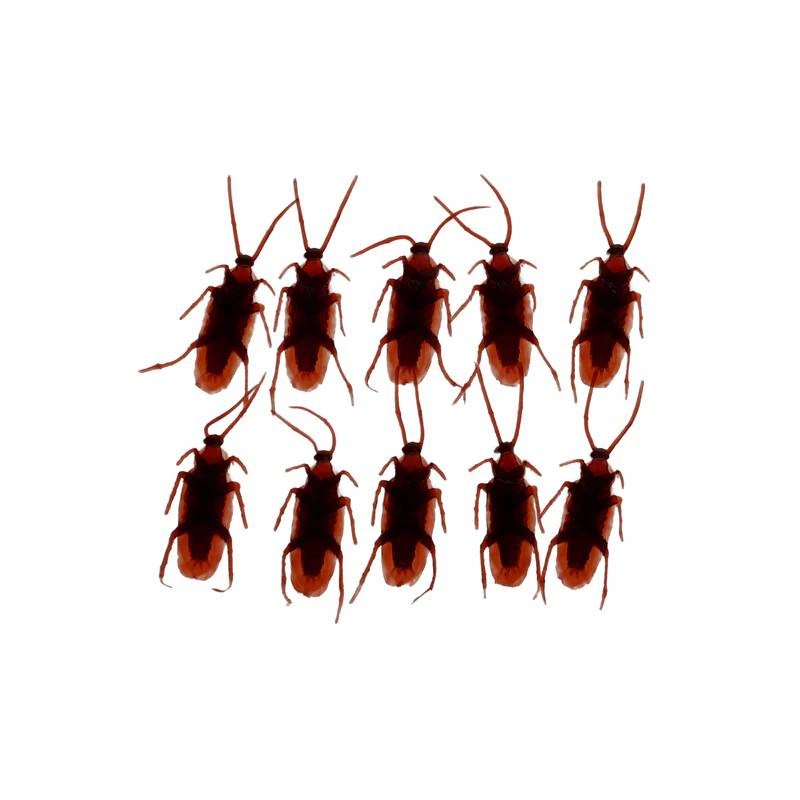 Box Of Cockroaches Prank Set - 5