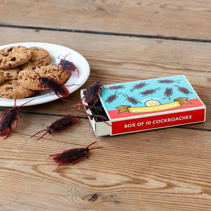Box Of Cockroaches Prank Set - 1