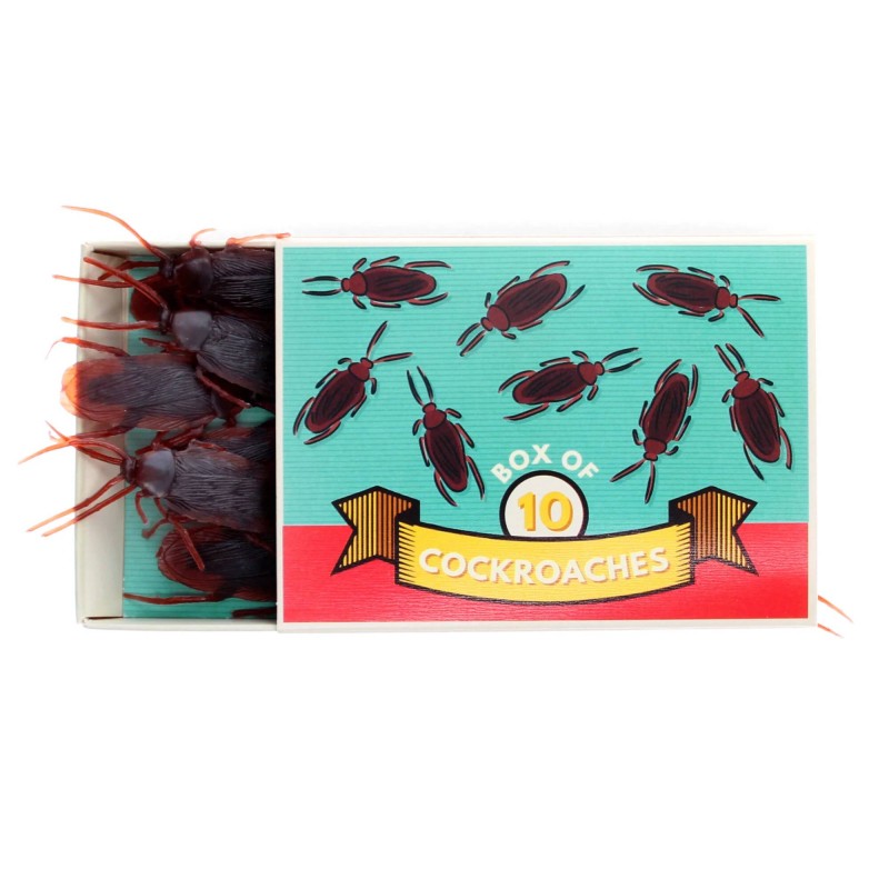 Box Of Cockroaches Prank Set - 4
