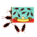 Box Of Cockroaches Prank Set - 2
