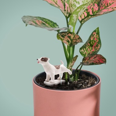 Pee My Plants Dog Watering Decoration - 4