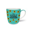 I'm A Little Ray of F**king Sunshine Mug - 2