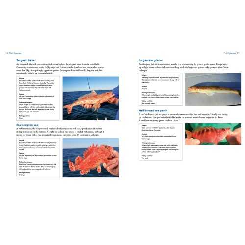 The Complete Fishing Bible : Everything You Need To Know About Fishing In Australia - 6