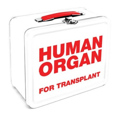 Human Organ Transplant Tin Carry All Fun Box or Lunch Box
