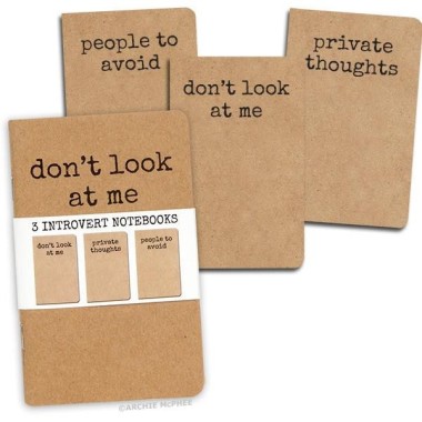 Introvert Notebooks – Set Of 3