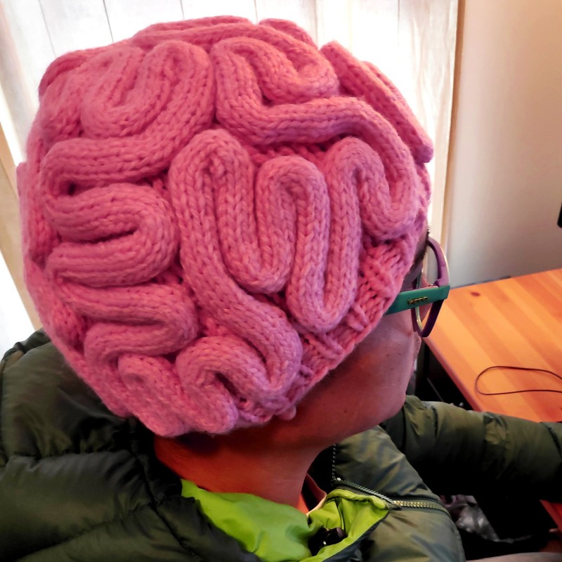 Brain Knitted Beanie