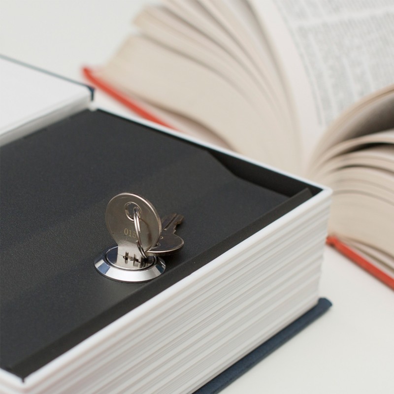 The New English Dictionary Book Safe
